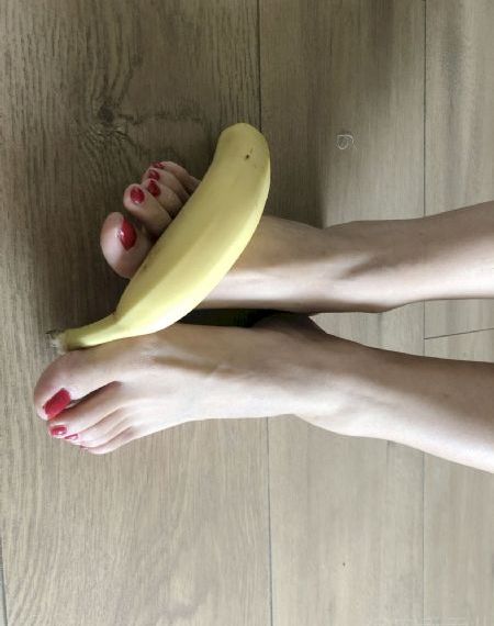 弓这部电影