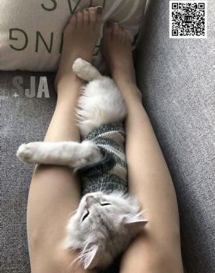 少妇做爰喷水高潮受不了小说
