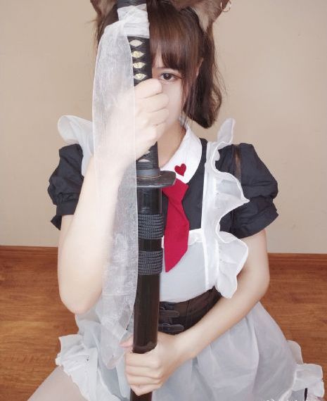 星光机构