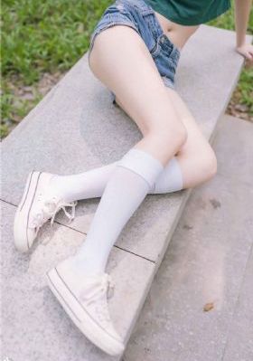 金瓶风月国语