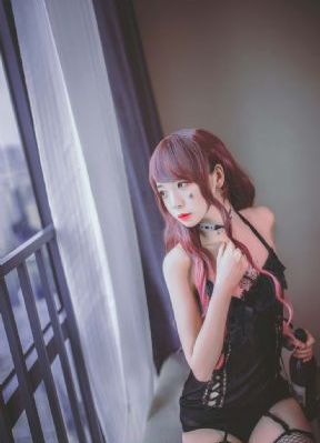 九重紫共多少集