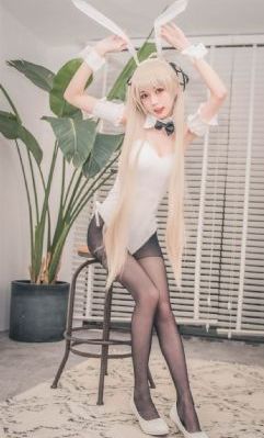 我和大佬的365天