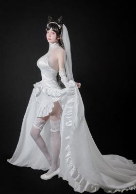 伯爵夫人满天星